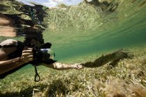 Photographer holding crocodile tail underwater — Stock Photo