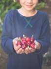 Девушка с горсткой вишни — стоковое фото