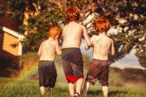 Irmãos jogando em aspersores — Fotografia de Stock