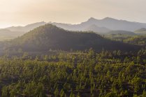 Baumbestandene Vulkanlandschaft — Stockfoto