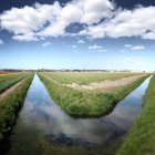 Entwässerungsgraben nach Feld — Stockfoto