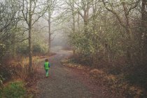 Ragazzo a piedi attraverso i boschi — Foto stock