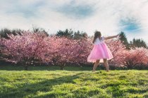 Girl spinning on meadow — Stock Photo