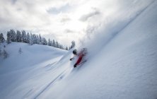Homem em pó esqui — Fotografia de Stock