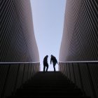 Люди на вершине лестницы — стоковое фото
