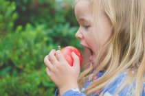 Girl about to take bite out of apple — Stock Photo