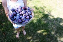 Boy holding bowl of plums — Stock Photo