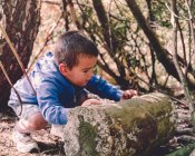 Мальчик катит большое деревянное бревно — стоковое фото