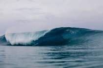 Трубопроводная волна, несущаяся над рифом — стоковое фото