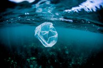 Saco de plástico flutuando sobre recife — Fotografia de Stock