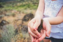 Girl holding caterpillar — Stock Photo