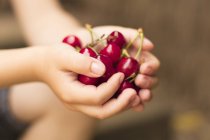 Little boy holding handful cherries — Stock Photo