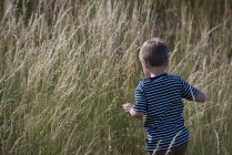 Хлопчик, гуляючи по довгій траві — стокове фото