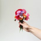 Hembra sosteniendo flores silvestres - foto de stock
