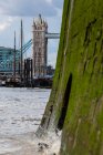 Тауэрский мост виден с берега Темзы — стоковое фото