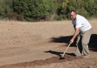 Homme creusant avec houe de jardin — Photo de stock