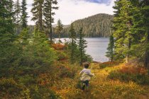 Мальчик бежит через лес — стоковое фото