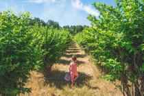 Mädchen läuft durch Obstgarten — Stockfoto