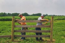 Hombres construyendo valla - foto de stock