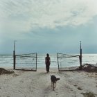 Женщина на пляже с собакой — стоковое фото