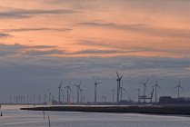 Wind turbines in row in harbor — Stock Photo