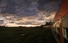 Поїзд їде по сільському ландшафту — стокове фото