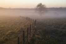 Восход солнца и туман над сельским полем — стоковое фото