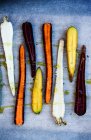 Multi-colored carrots with oil and salt — Stock Photo