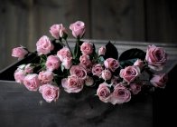 Розовые розы в ящике — стоковое фото