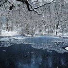 Lago congelado en el bosque - foto de stock