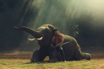 Uomo Mahout con elefante — Foto stock