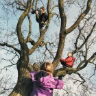 Três crianças escalando árvore — Fotografia de Stock
