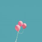 Tre palloncini rosa — Foto stock