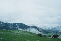Заснеженные горы и зеленое поле — стоковое фото