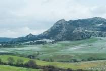 Зеленый пейзаж и горы — стоковое фото