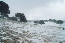 Nieve cubierto paisaje - foto de stock