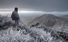 Homem em pé no pico de cuyamaca — Fotografia de Stock