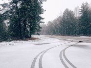 Pistas de neumáticos en carretera cubierta de nieve - foto de stock