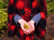 Girl holding fern leaf — Stock Photo