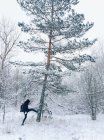 Hombre pateando nieve del árbol - foto de stock