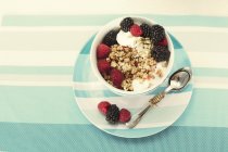 Frühstück mit Müsli, Beeren und Joghurt — Stockfoto