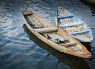 Due uccelli su una barca a remi in legno — Foto stock