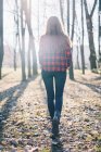 Visão traseira da mulher hipster caminhando pela floresta — Fotografia de Stock