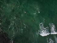 Вид сверху на серферов в море — стоковое фото