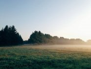 Ländliche Landschaft im Nebel — Stockfoto