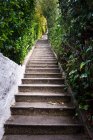 Staircase moving up in garden — Stock Photo
