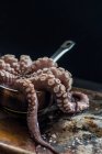 Octopus in bowl on table — Stock Photo