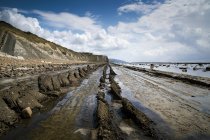 Flysch rochers le long de la côte — Photo de stock