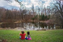 Хлопчик і дівчинка сидять біля озера, дивлячись на гусака — стокове фото