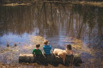 Bambini e golden retriever seduti sul tronco — Foto stock